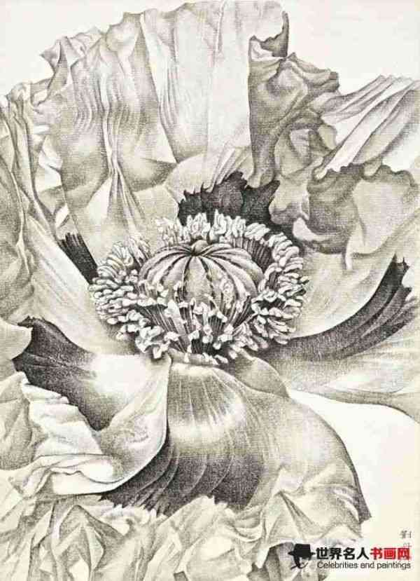 画家刘丹作品《无题：罂粟花》
