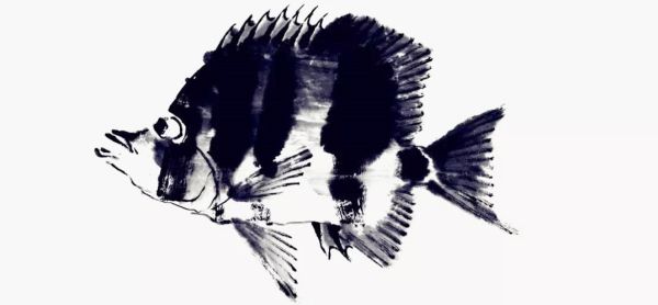 技法探索-蝴蝶鱼的画法解析