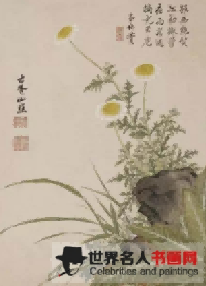 徐渭-《菊》